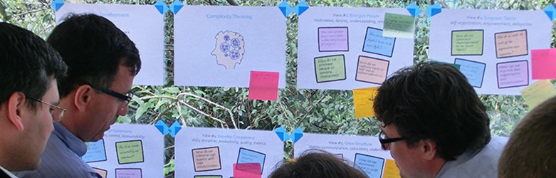 McKenna Consultants - Management 3.0 Licensed Facilitators